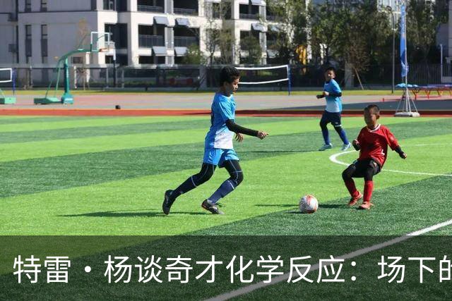 特雷·杨谈奇才化学反应：场下的凝聚力需转化为场上稳定发挥